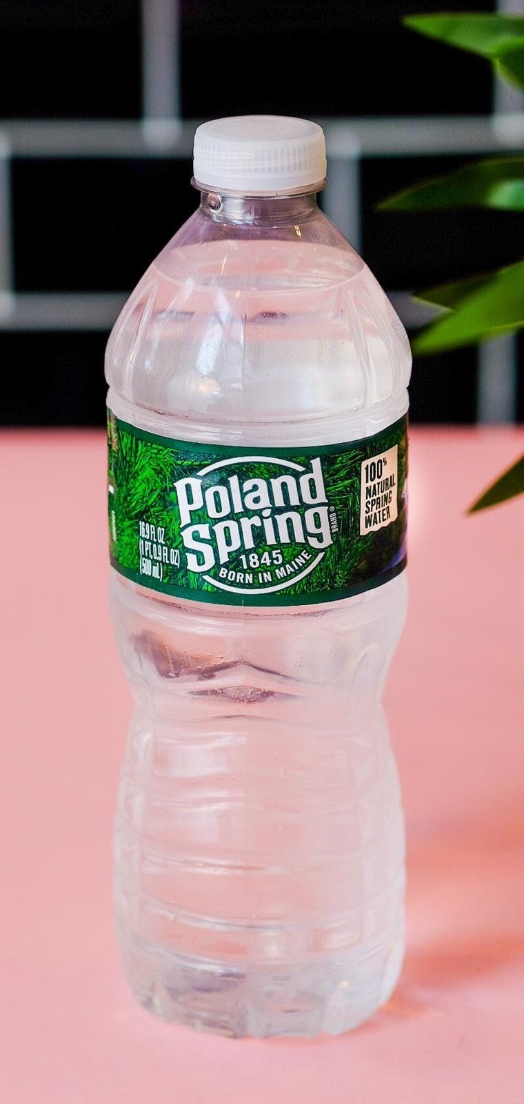 Poland Spring Water.